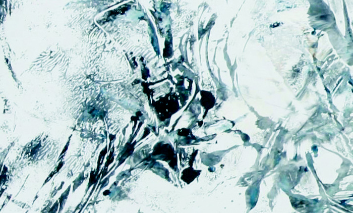 elephants, Detail
